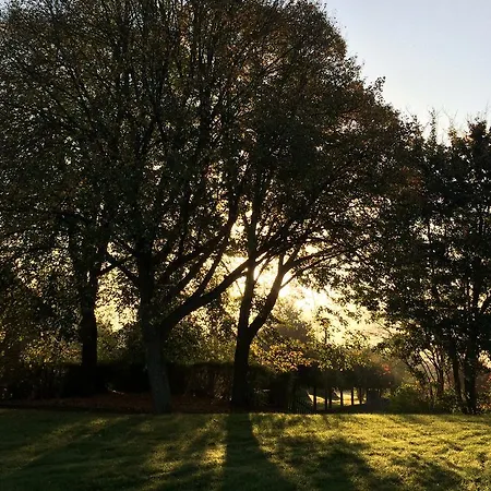 Ξενοδοχείο Zuck Schauren (Birkenfeld)