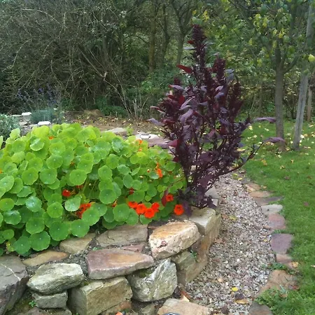 Zuck Отель Schauren (Birkenfeld)