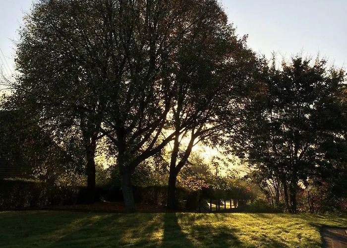 Hotel Zuck Schauren (Birkenfeld)