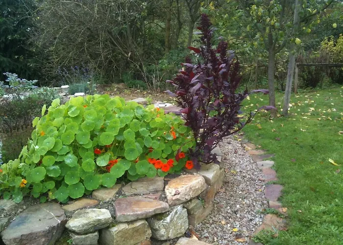 Zuck Hotel Schauren (Birkenfeld)