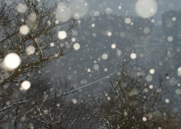 Zuck * Schauren (Birkenfeld)